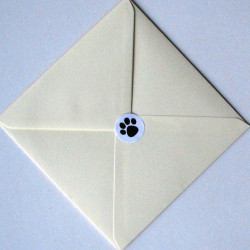 Puppy dog charm card