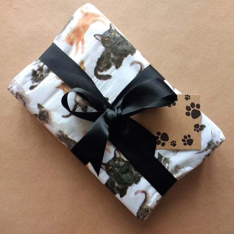 Cats and Kittens Pack