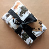 Cats and Kittens Pack